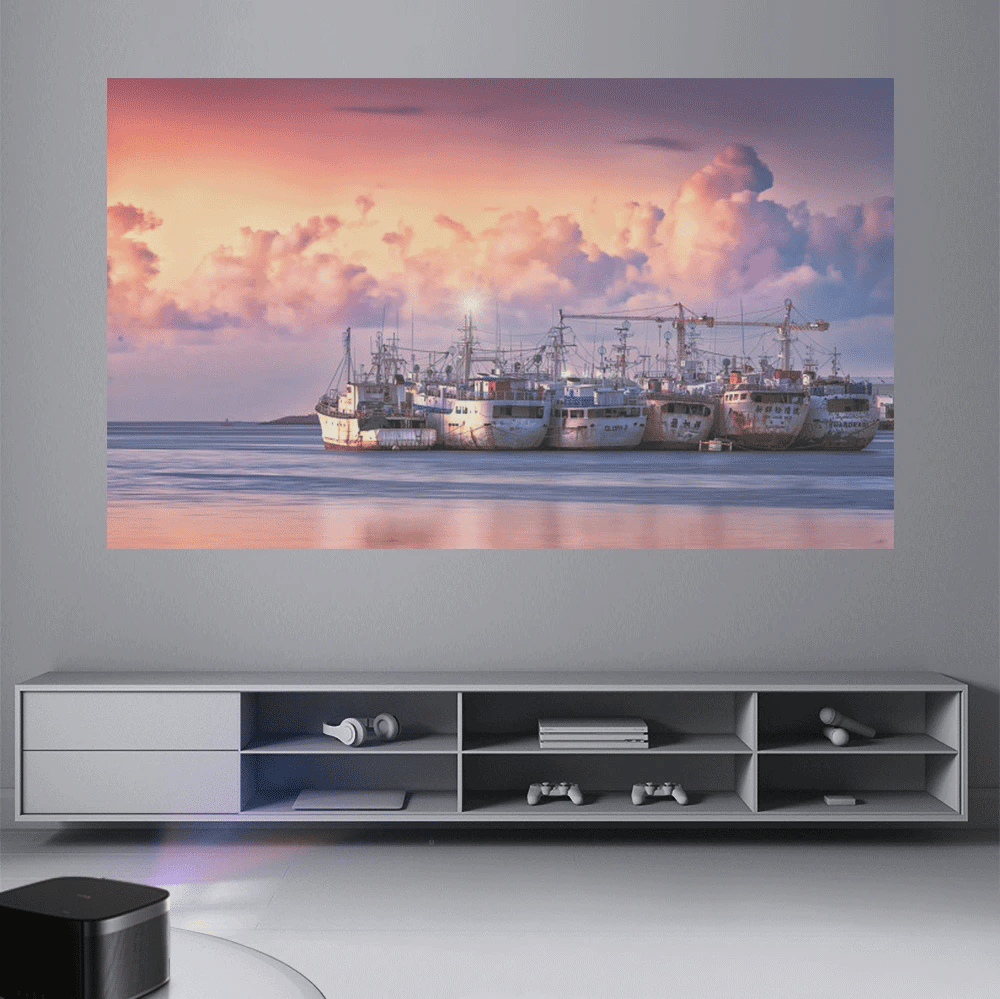 Everycom - Écran de Vidéo Projecteur Anti-Lumière