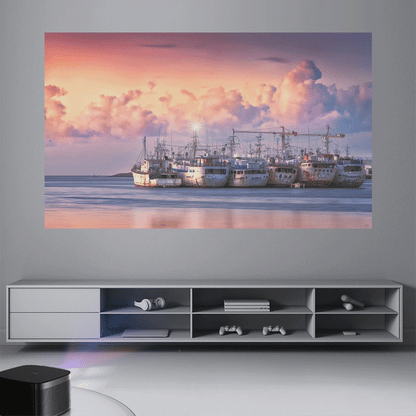 Everycom - Écran de Vidéo Projecteur Anti-Lumière